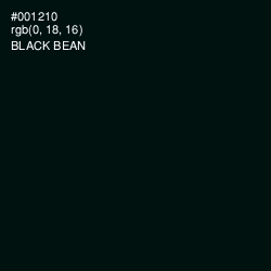 #001210 - Black Bean Color Image